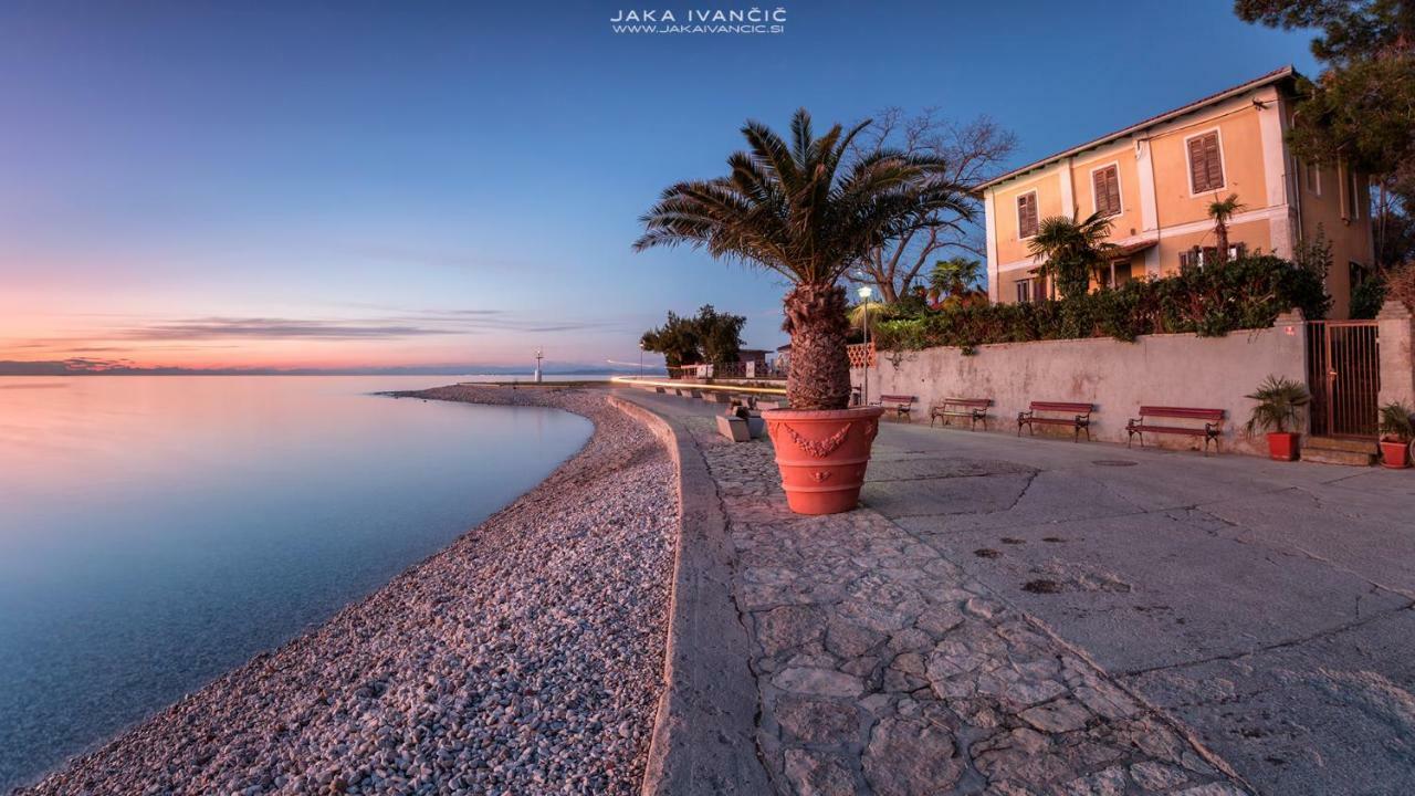 Istrian Lux By Istrian